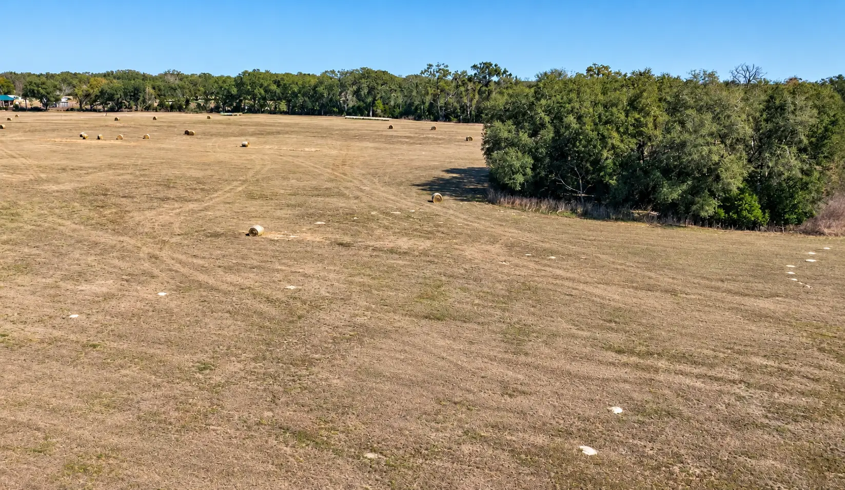 large tract of vacant land for sale a hay field in north florida